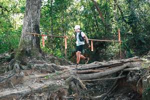 BIB: 
                            <button type="button" onclick="openModal(27744411)" class="btn btn-primary btn-sm float-right btn-popup" data-toggle="modal" data-target=".modal-high-quality">
                        <i class="fas fa-shopping-cart"></i> Add to Cart
                    </button>
                                            <button type="button" onclick="isThisMe(27744411, true)" class="btn btn-success btn-sm float-right btn-popup btn-isme hidden" data-toggle="tooltip" data-placement="bottom" title="นี่คือรูปของคุณใช่ไหม คลิกที่นี่เพื่อเอาเข้าอัลบั้ม">
                        <i class="fas fa-plus"></i> Add to album
                    </button>
                    <button type="button" onclick="isThisMe(27744411, false)" class="btn btn-warning btn-sm float-right btn-popup btn-isnotme hidden">
                        <i class="fas fa-ban"></i> Remove from album
                    </button>